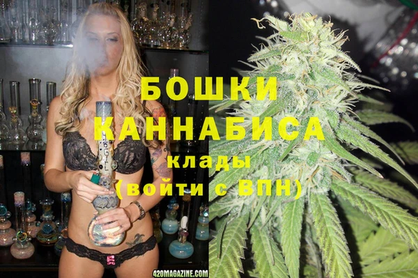 твердый Арсеньев