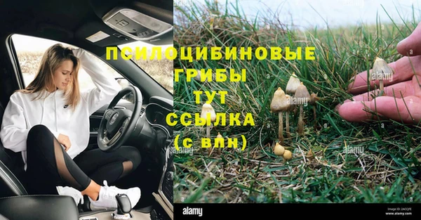 соль ск Аркадак