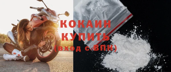 твердый Арсеньев