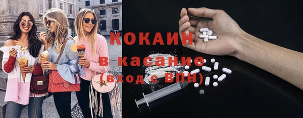 твердый Арсеньев