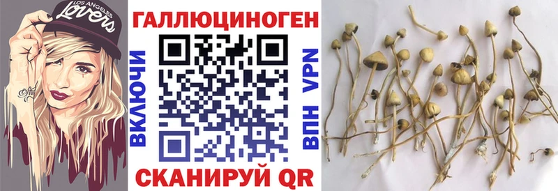 закладки  Пересвет  Псилоцибиновые грибы мухоморы 